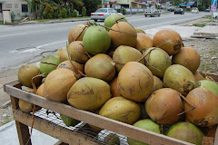 GOING  COCONUTS