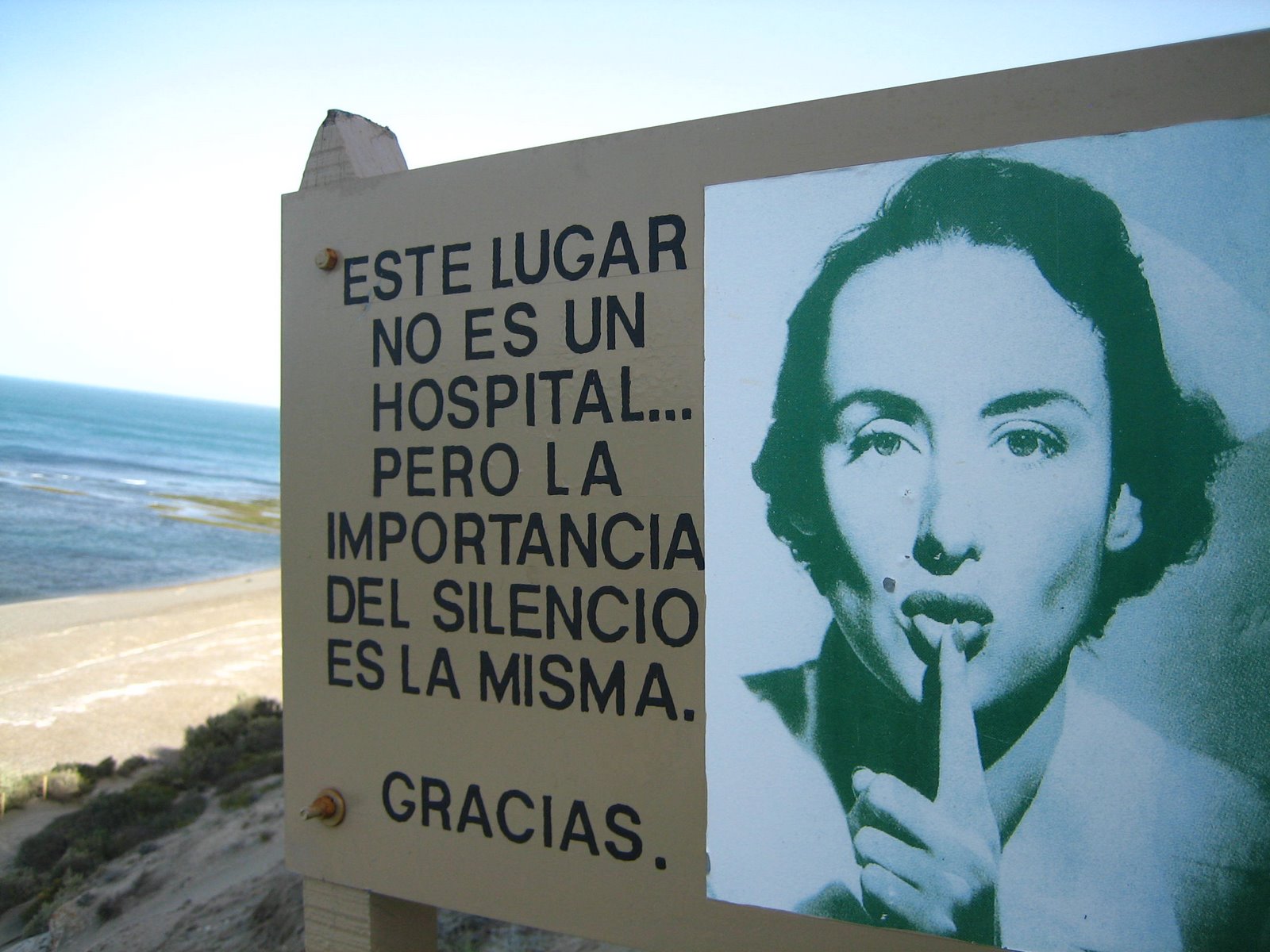[Imagen+229.jpg]