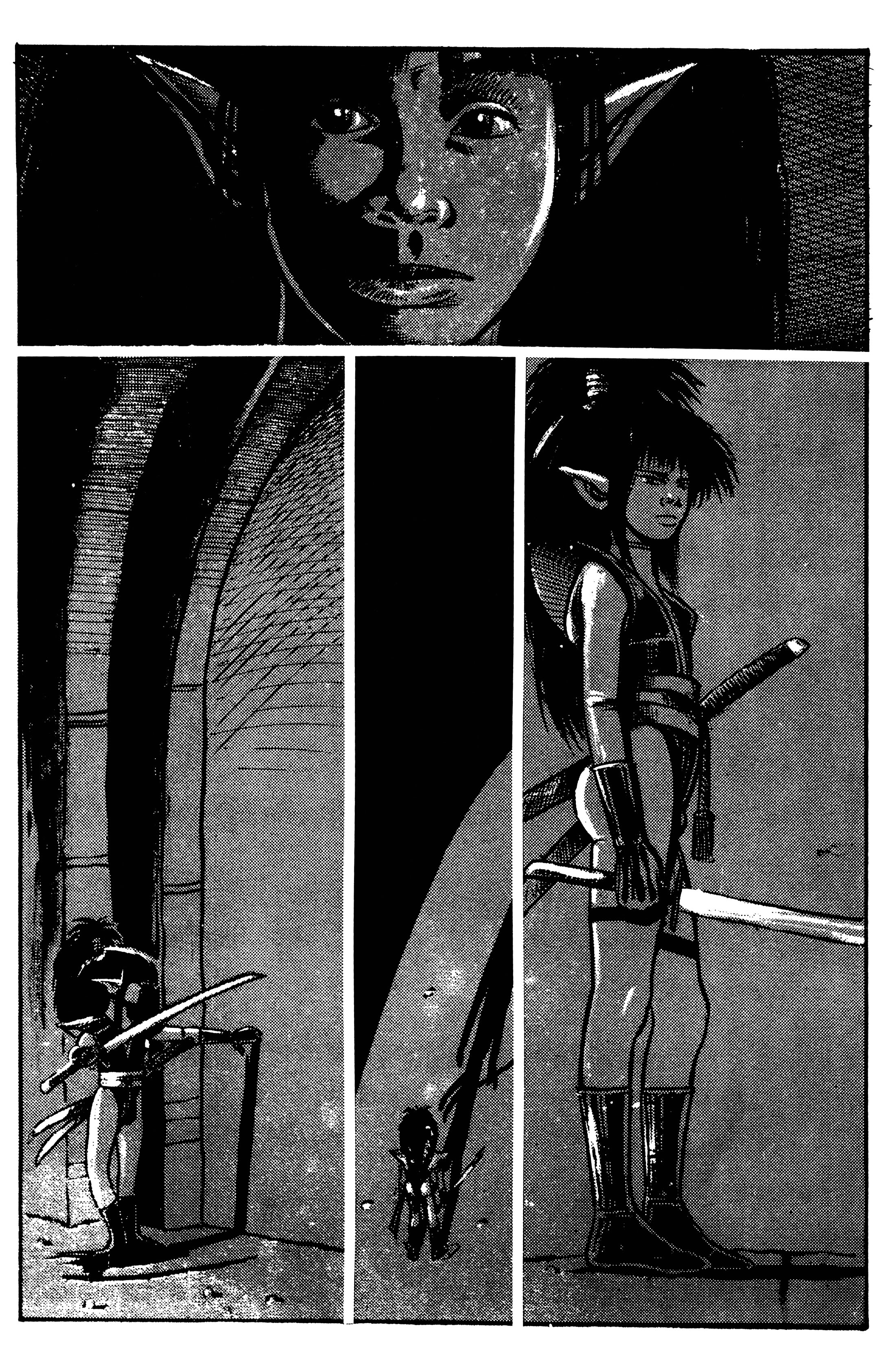 Read online Elflord: Summer's Magic comic -  Issue #3 - 4