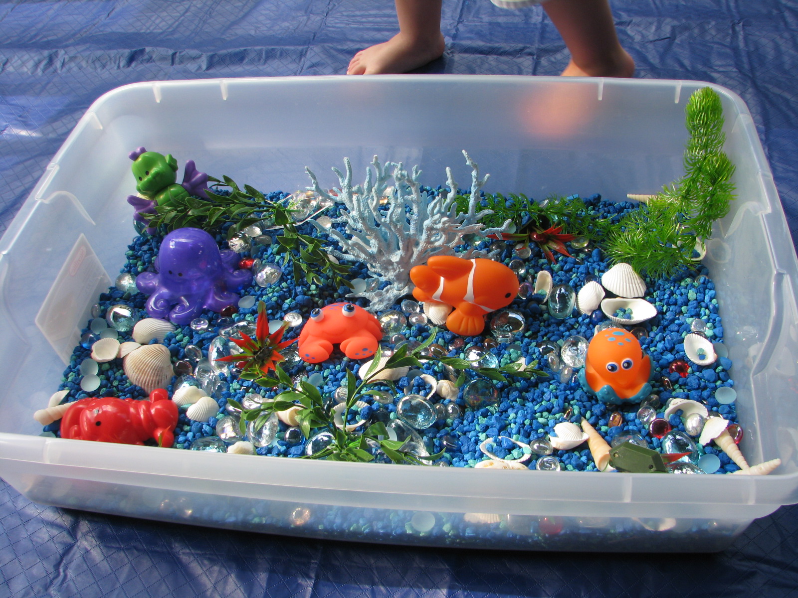 Play Create Explore Ocean Sensory Bin