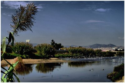 Paseo fluvial del río Besos