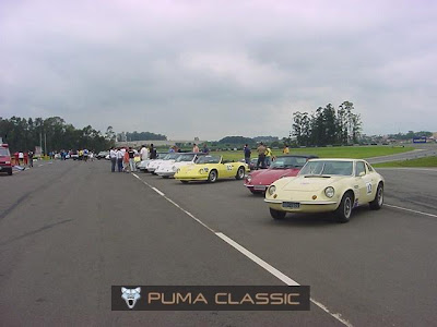 puma day