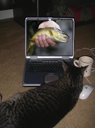 Do You Like To Watch Fish Porn At The Office?