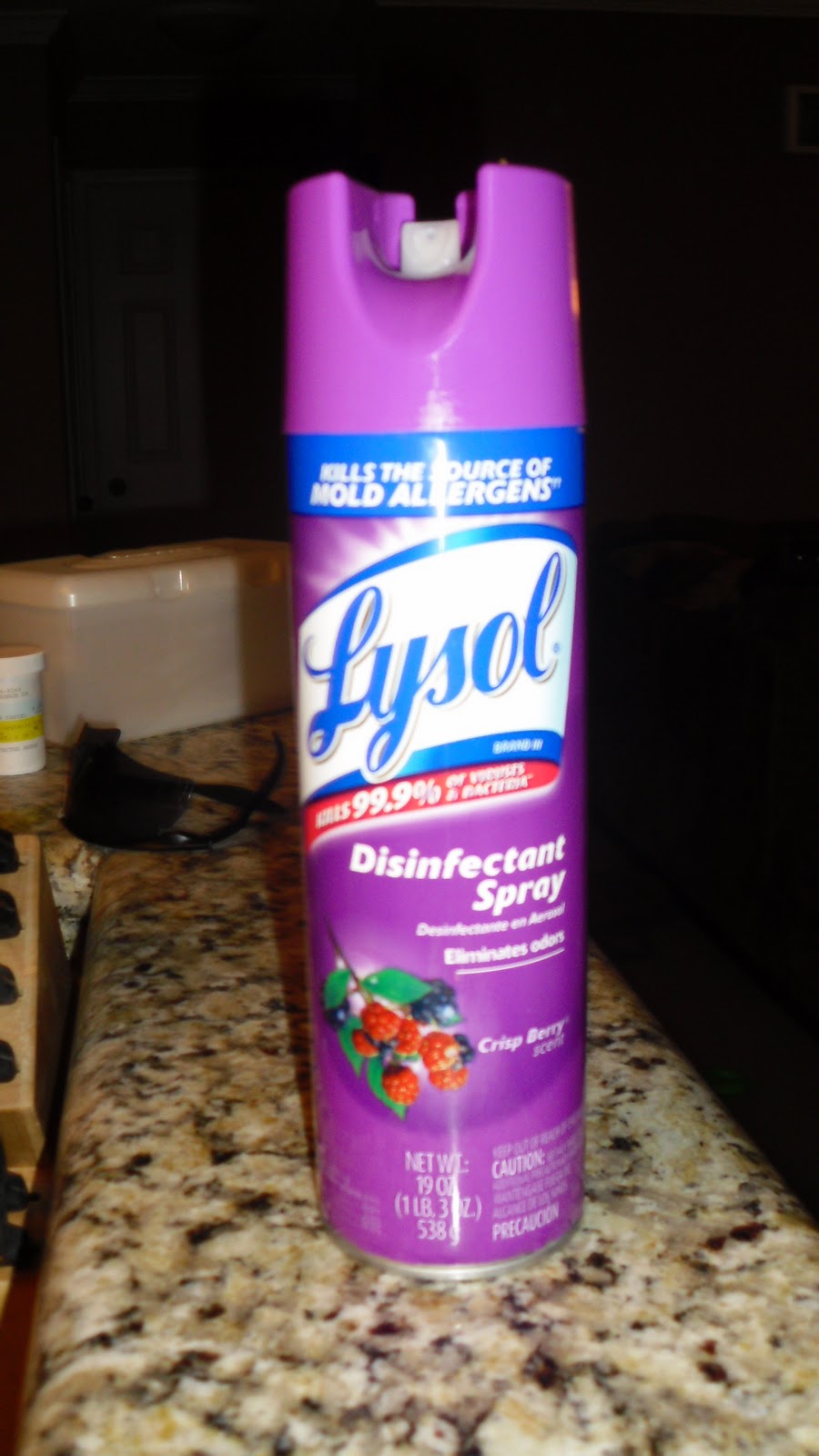 The Girl Who Took on the World The Lysol Can