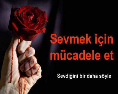 Hayata Dair Ne Varsa