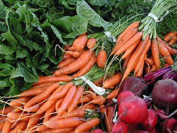 [carrots.jpg]
