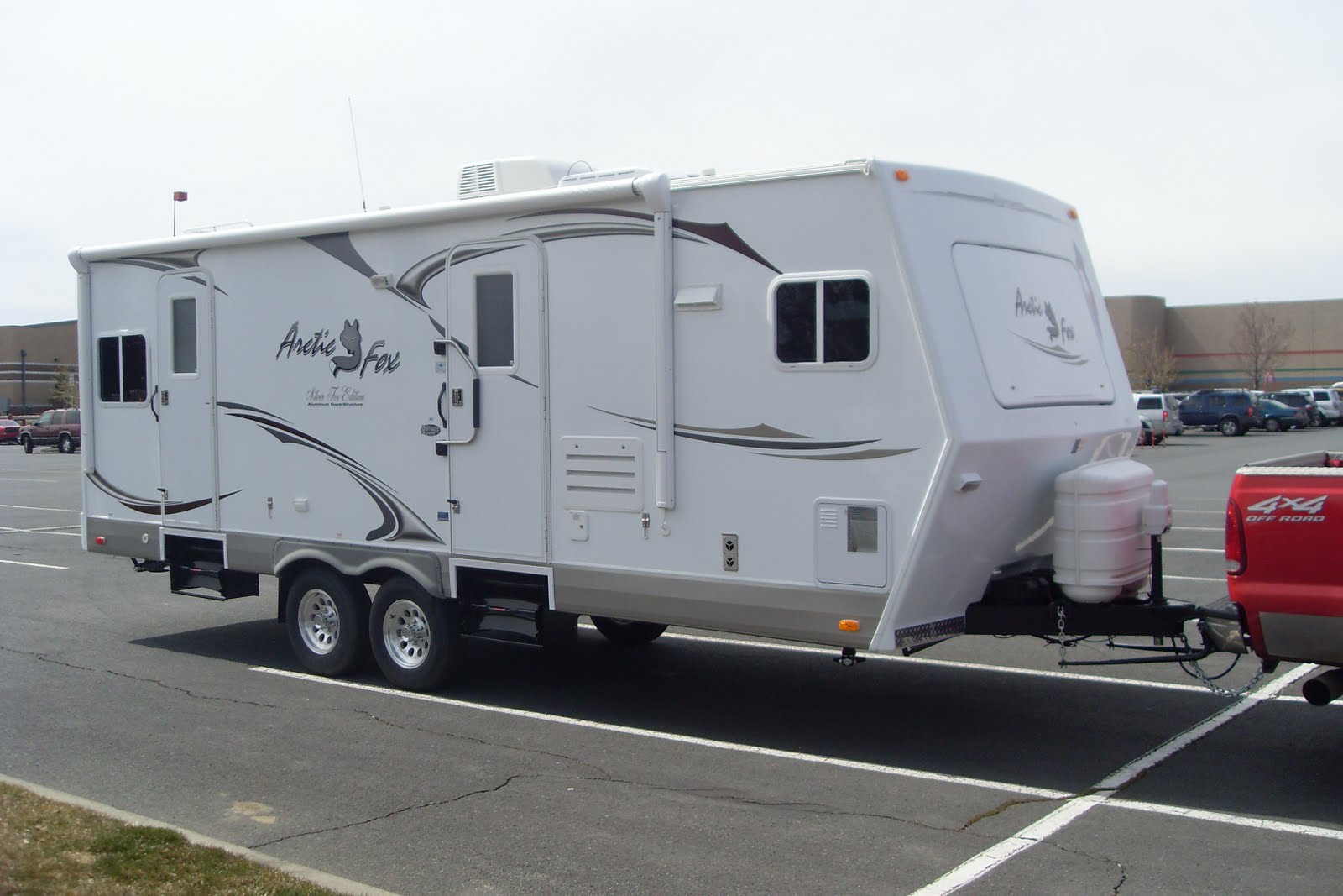 Hamiltons Highlights Our New Arctic Fox