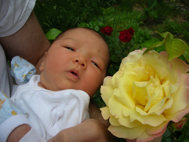 2 roses