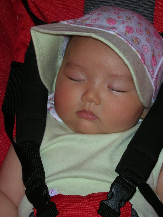Sleepy stroller