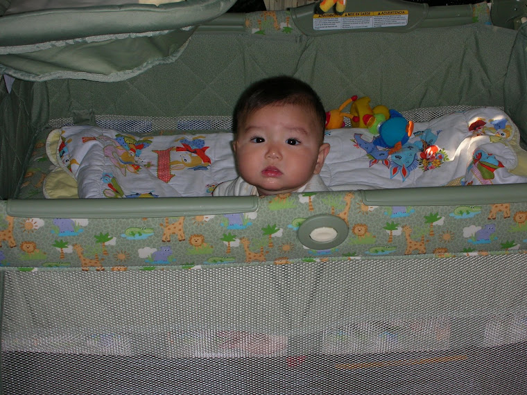 Play pen