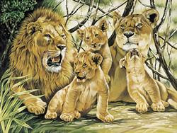 Pride of Lions