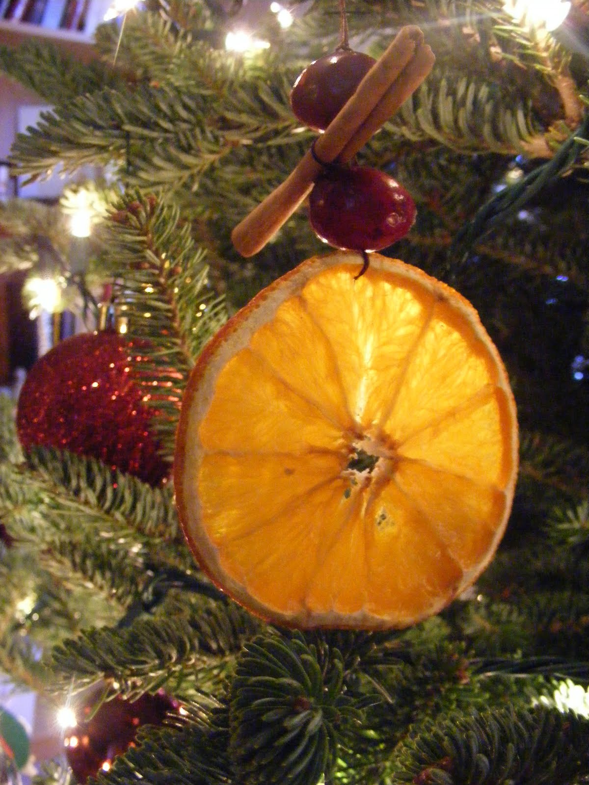 47 HQ Photos How To Dry Oranges For Christmas Decorations  How To Dry