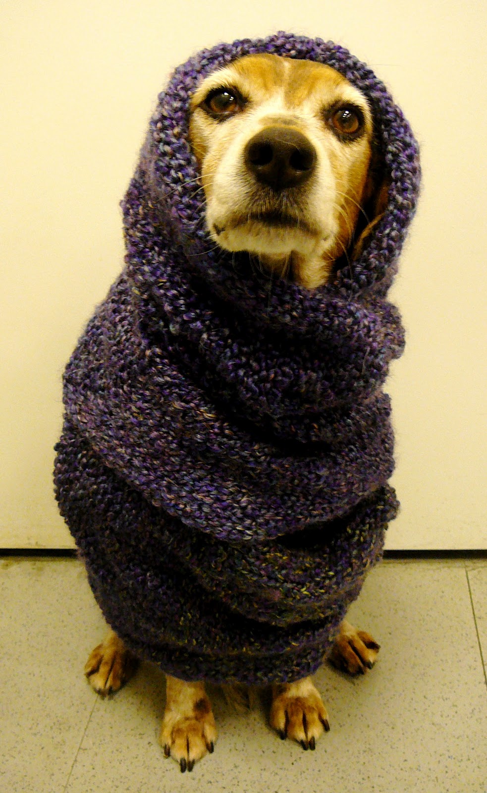 Rhinestone Beagle Full Body Dog Scarf