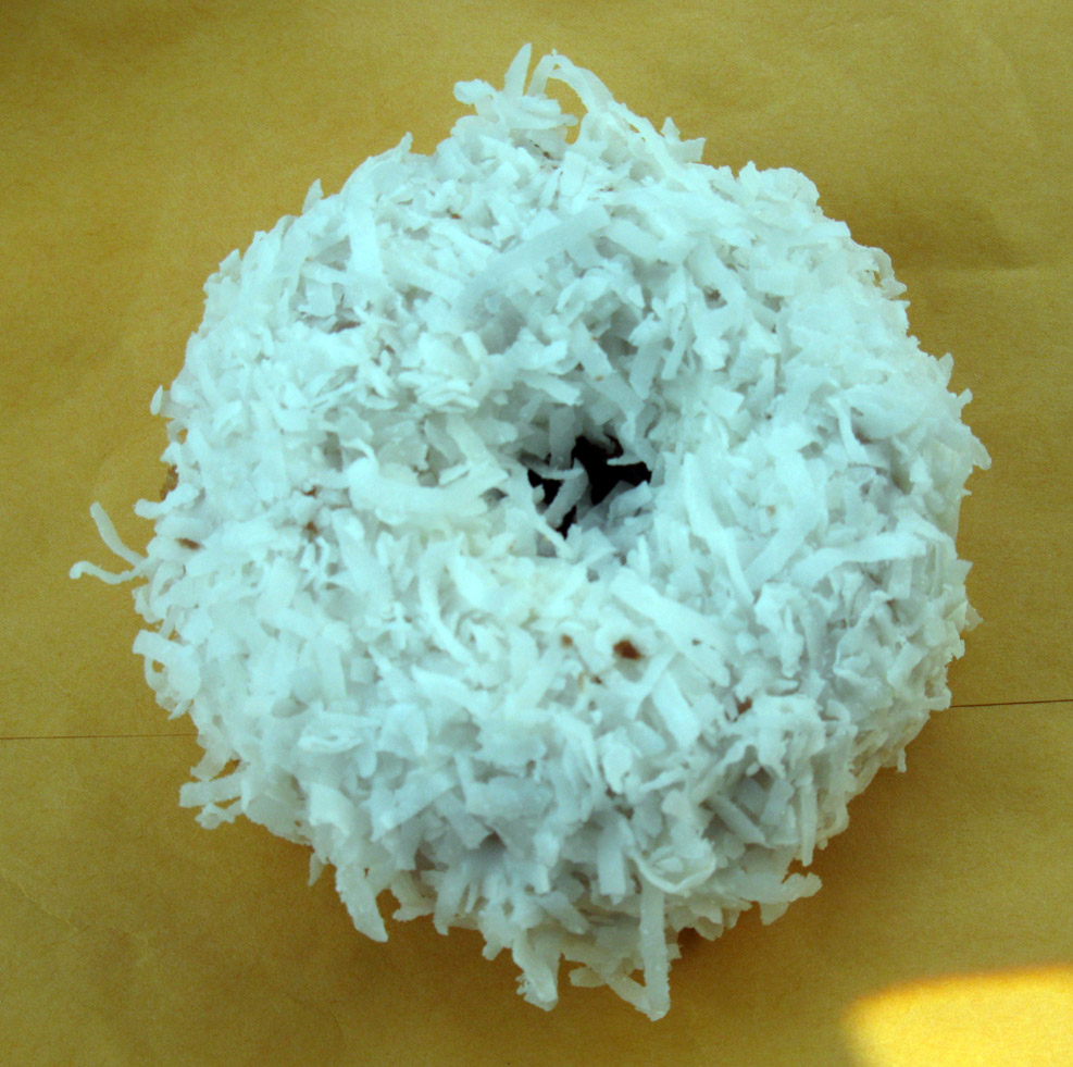 Eccentric Roadside Donuts make my brown eyes blue Bradenton, Florida