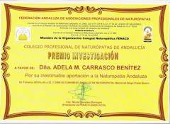 Premio Andaluz de Investigación 2008