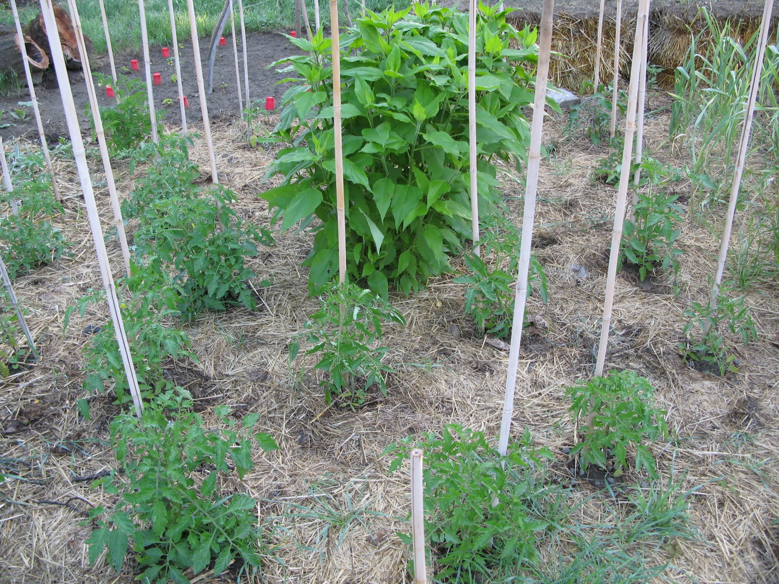 Confluence Farm Farm Photos