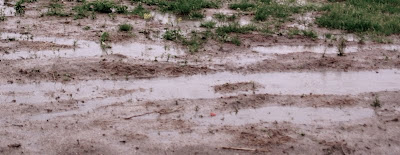 The Beginning Farmer: Everywhere You Look Mud!