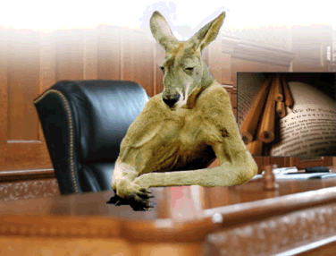 KangarooCourt.gif