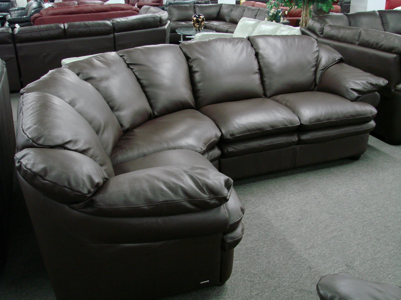 Natuzzi Leather Sofas & Sectionals by Interior Concepts Furniture