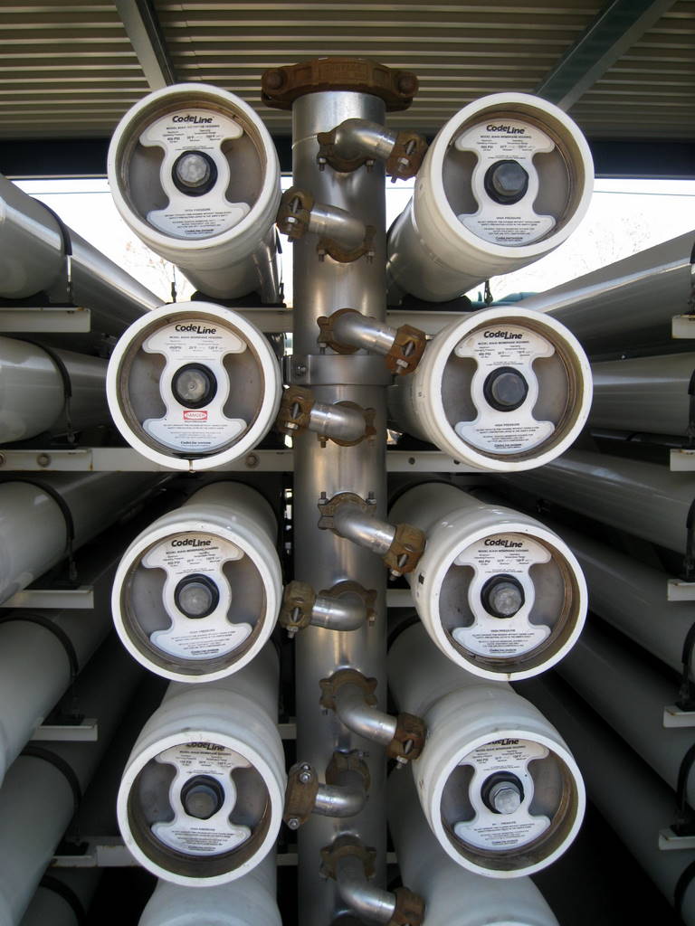 Bad Mom, Good Mom: 2010