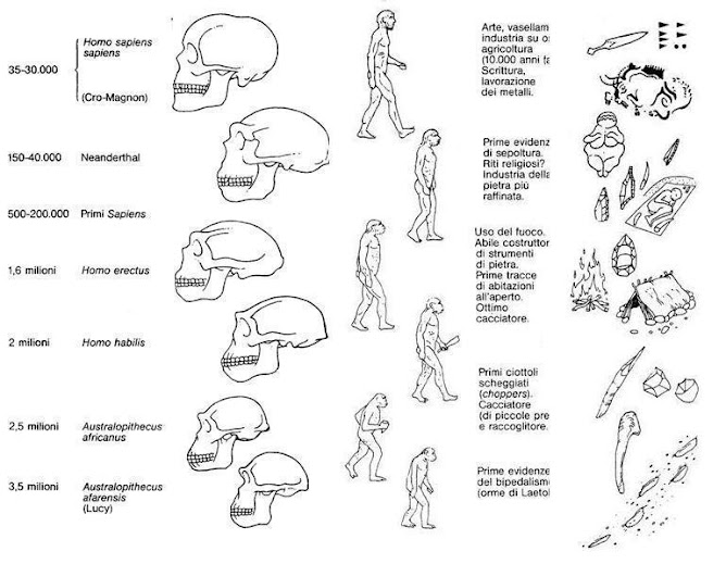 Evoluzione biologica della specie umana