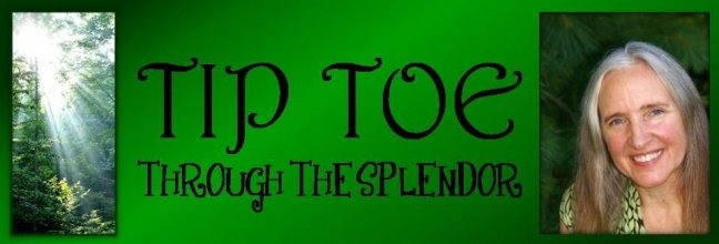 TIP TOE THROUGH THE SPLENDOR