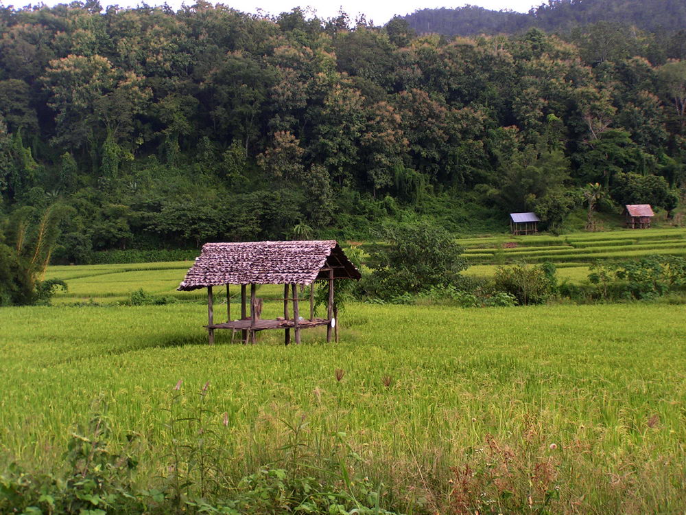 [PICT6746.jpg]