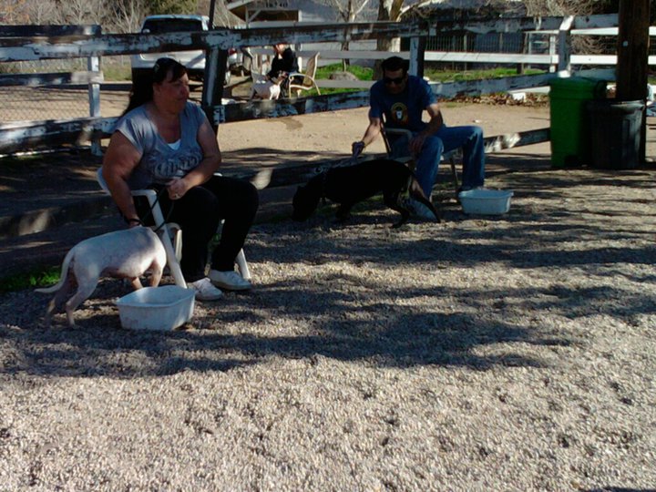 Lady Fire Fury Villalobos Rescue Center