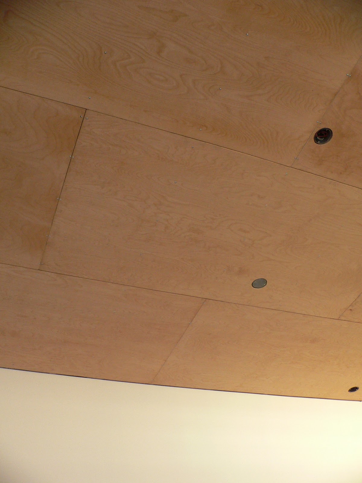 the little forest house: plywood ceilings?