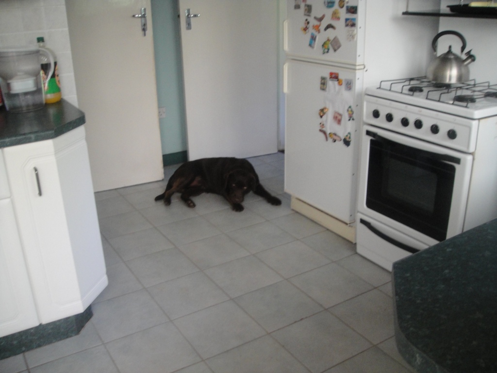 Mutare House for Sale 19 Shakespeare