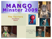 MangoMinster 2009