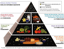 piramide alimenticia