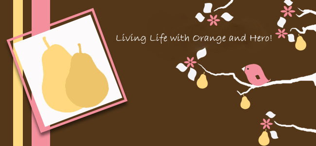 living life with orange n hero
