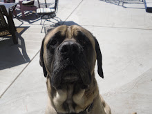 Troy