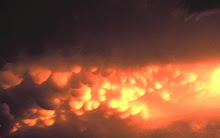 mammatus clouds (NSSL)