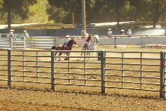 Junior Ribbon Race Event...