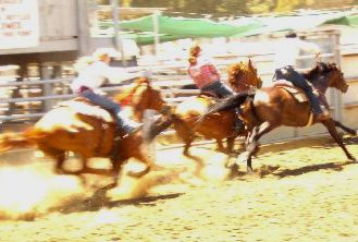 Pony Express Race...