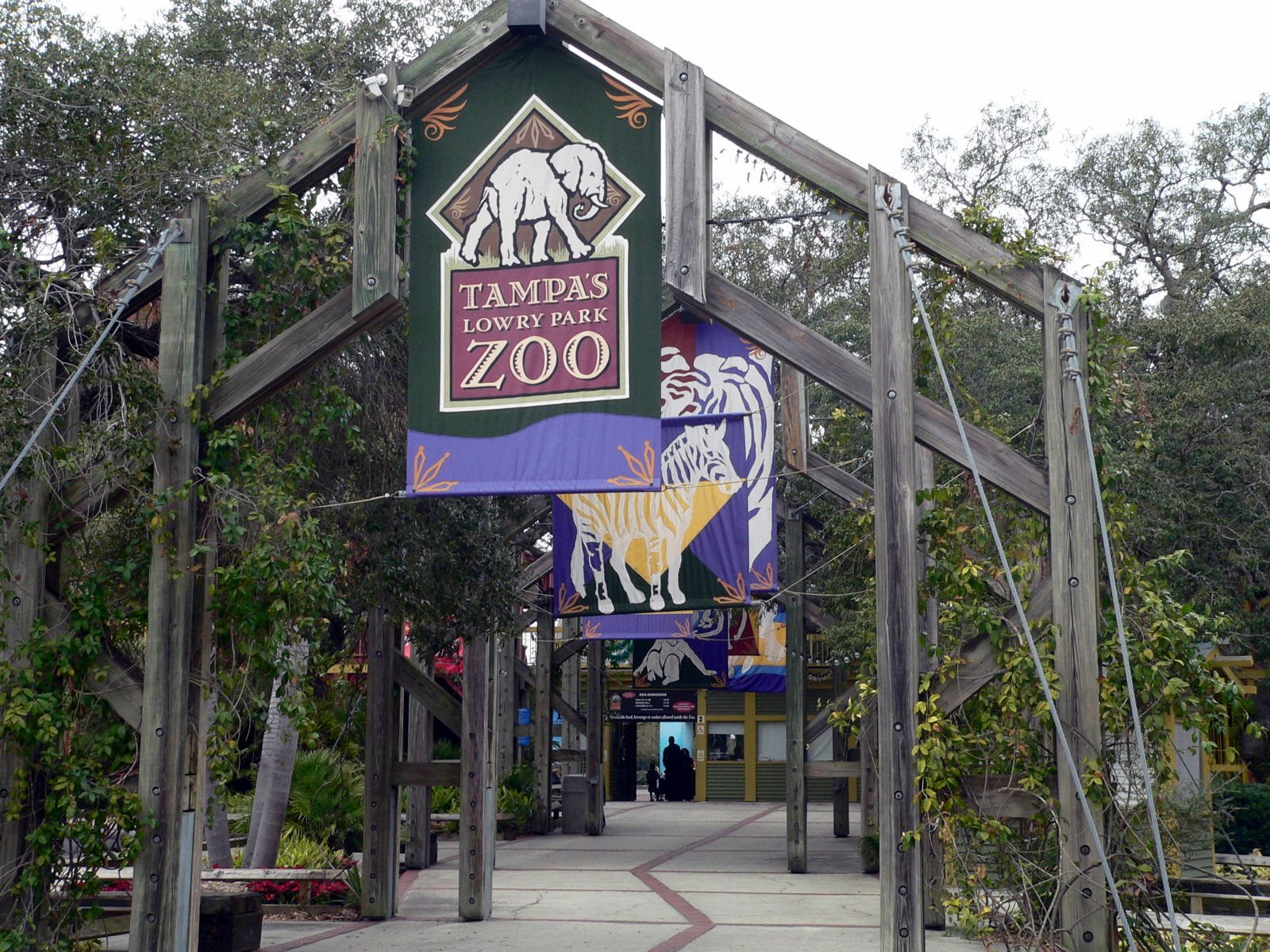 Rocky Top Ramblers Lowry Park Zoo