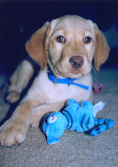 TODO ES PARA MORDER !!!!!