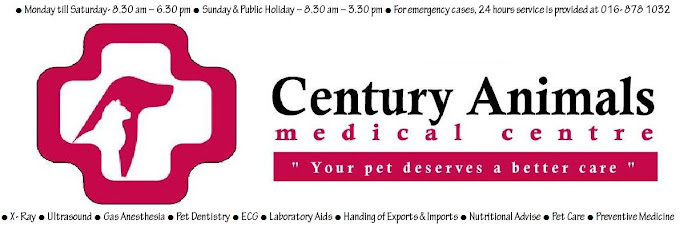 Century Animals Medical Centre