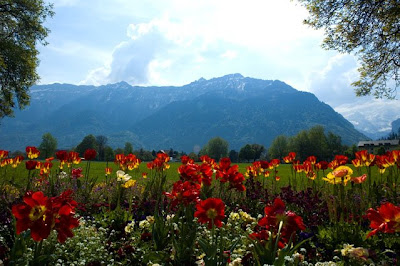 PRIMAVERA NO DEMORA!