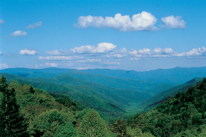 Top 10 Reasons To Plan A Smoky Mountain Vacation Over Orlando Florida Pigeon Forge Cabins Gatlinburg Cabins Smoky Mountain Cabin Rentals Pigeon Forge Tn
