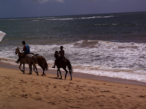 Reiten dem Meer entlang