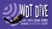 WDTdive Web Site