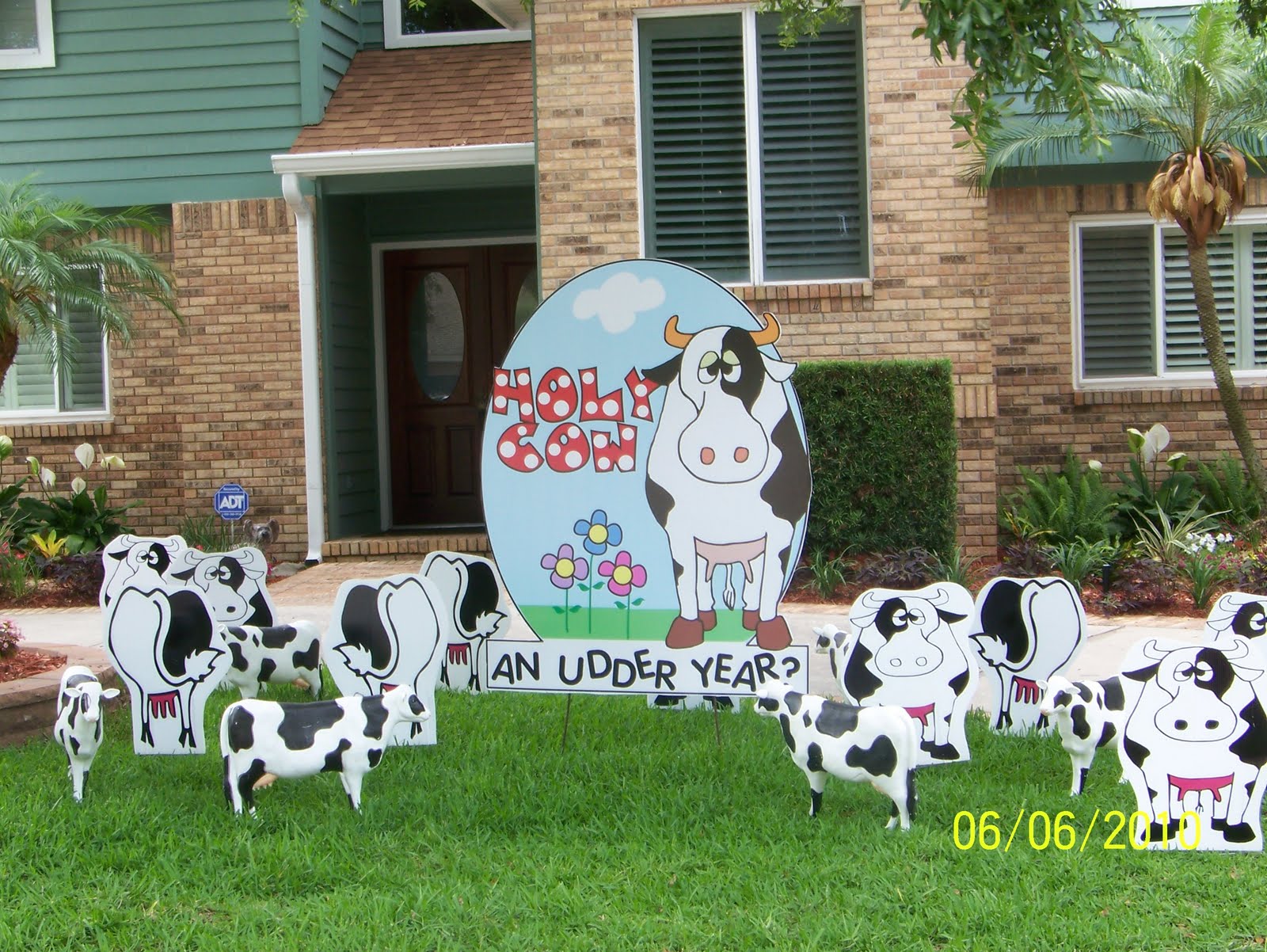 *FLOCKNSURPRISE* 7276878111 LARGO, Florida