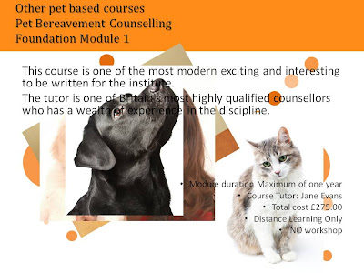 It level 2 qualification picture