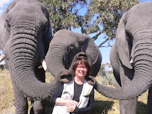 Me being ravished by elephants in Botswana