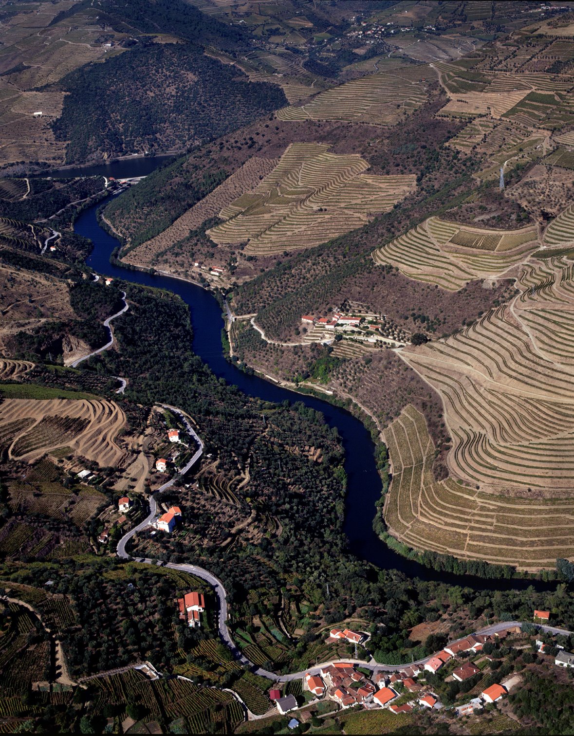 [QTÂª+do+PANASCAL.jpg]