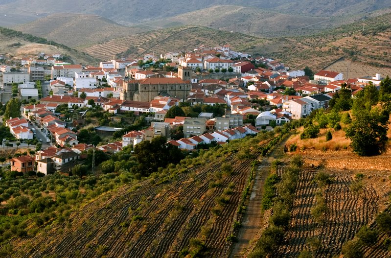 [TORRE+DE+MONCORVO.jpg]