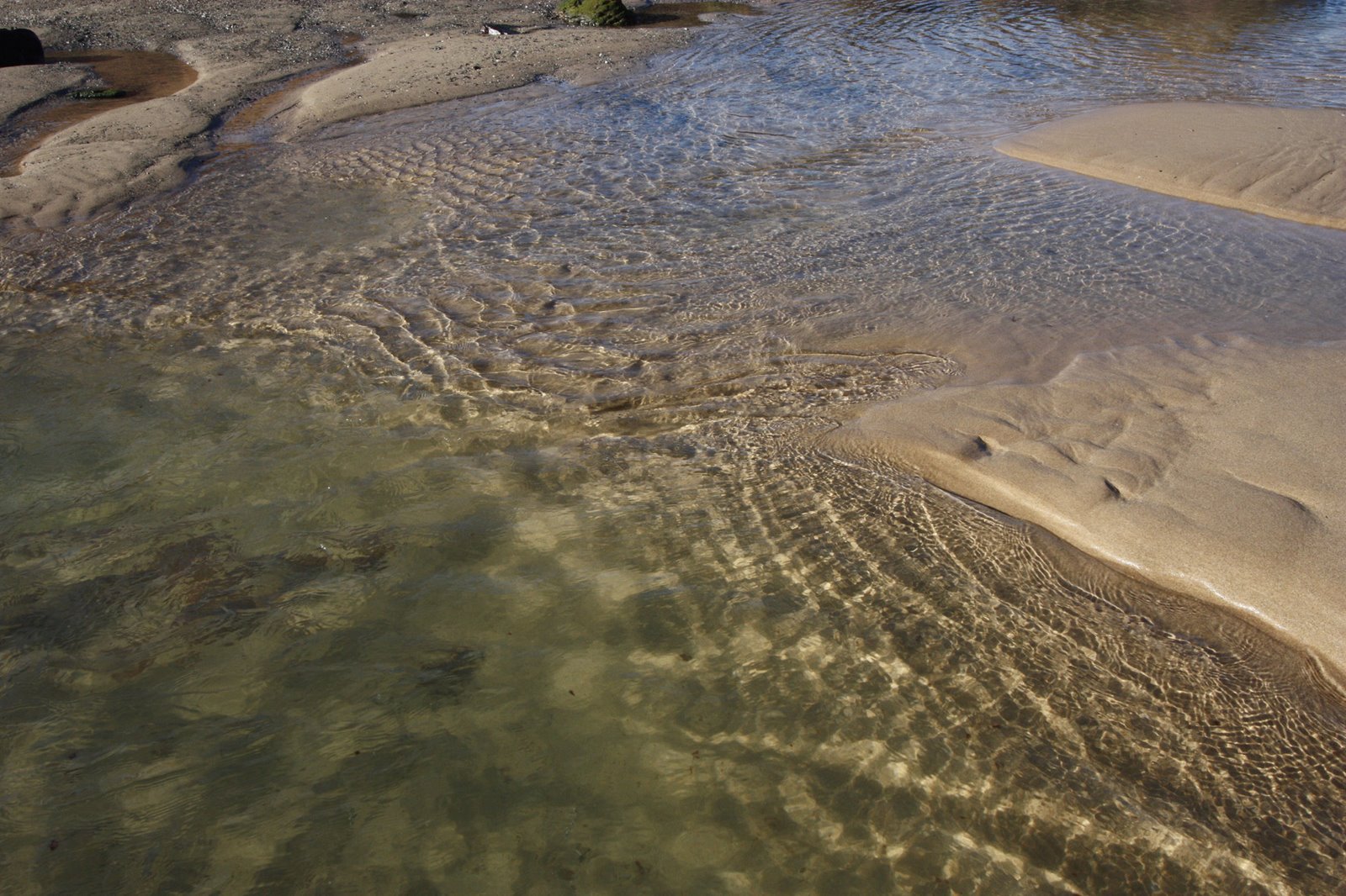 [Foto+2:+Varal+:15.12.08.jpg]